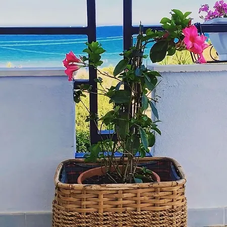 Il Mare Di Ciccio Avola